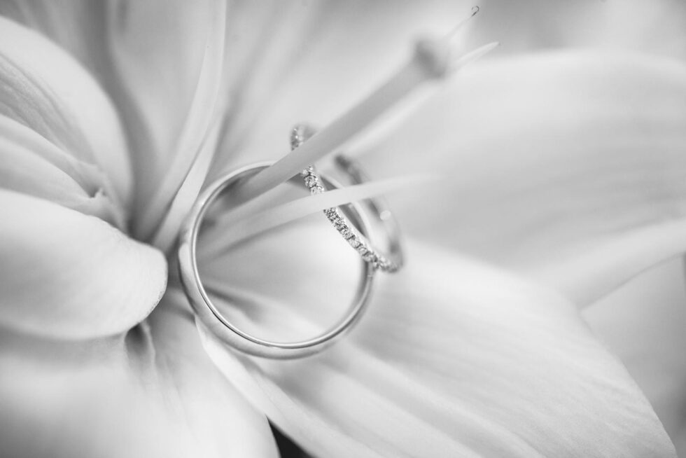 The Art of Ring Shots: Using the Flowers in Oaxaca